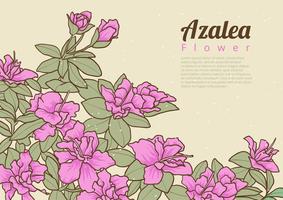 Azalea Blommor vektor