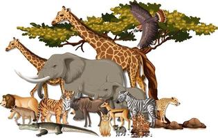 Gruppe von wilden afrikanischen Tieren auf weißem Hintergrund vektor