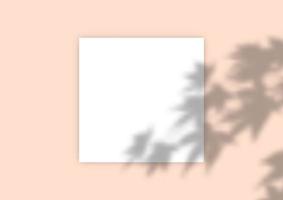 Pflanzenschatten-Overlay-Hintergrund 0401 vektor