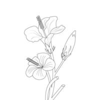 hibiskus blomma färg sida och bok illustration linje konst vektor