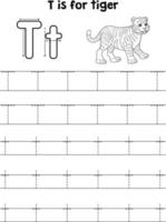 Tiger Tier Rückverfolgung Brief ABC Färbung Seite t vektor