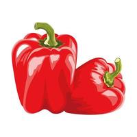 frische Paprika gesundes Gemüse Ikonen