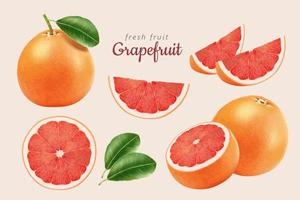 3d Illustration von rot Grapefruits im Hälften und Keile mit es ist Blätter isoliert auf Licht Rosa Hintergrund