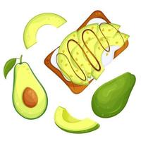 einstellen Vektor Illustration von Avocado Essen, gesund Essen, gesund Frühstück, Illustration zum ein kulinarisch Blog