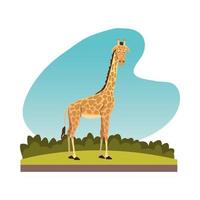 vild afrikansk giraff djur ikon vektor