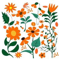 vild blomma färgrik , retro 70s 80s 90s botanisk design blommig illustration av prästkragar.vårtid blommor dekoration vektor växt konst.