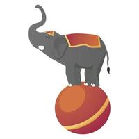 cirkus elefant på ballong vektor