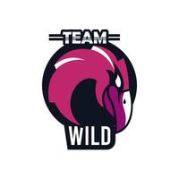 bald eagle head djur emblem ikon med team vilda bokstäver vektor