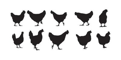 höna, broiler, kyckling silhuetter vektor illustratör eps10