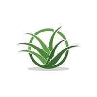 aloe vera logotyp ikon design symbol skönhet vektor