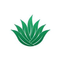 aloe vera logotyp ikon design symbol skönhet vektor