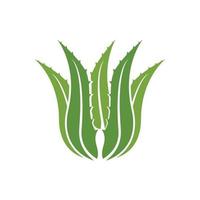 aloe vera logotyp ikon design symbol skönhet vektor