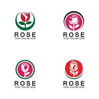 rose logo blume vektor symbol illustration design