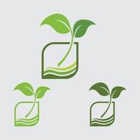 logotyp av växt vektor
