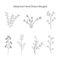 botanisk hand dragen grenar. översikt stil vektor konst