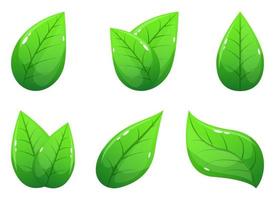 realistisk leaf vektor design illustration uppsättning isolerad på vit bakgrund