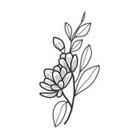 samling skog ormbunke eukalyptus konst lövverk naturliga blad örter i linje stil. dekorativ skönhet elegant illustration för design handritad blomma vektor