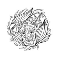 botanische Blumenzeichnung und -skizze mit Schwarzweiss-Linienkunst. runde Form. handgezeichnete botanische Illustration vektor