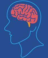 mänsklig hjärna i blå bakgrund vektor