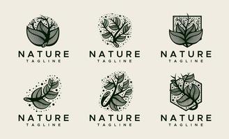 elegans prydnad blommig blad logotyp design mall uppsättning. dekorativ löv logotyp samling. vektor