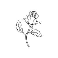 Rose Blume Illustration auf Weiß Hintergrund vektor