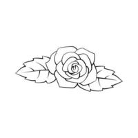 Rose Blume Illustration auf Weiß Hintergrund vektor