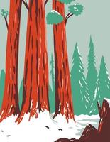 Redwood National- und State Park im Winter mit Küstenmammutbäumen in Nordkalifornien wpa Plakatkunst vektor