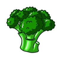 friska grön broccoli. vektor illustration vegetabiliska i klotter stil. vitamin friska naturlig mat. växt för vegan och vegetarian diet
