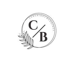 cb initialer brev bröllop monogram logotyper mall, hand dragen modern minimalistisk och blommig mallar för inbjudan kort, spara de datum, elegant identitet. vektor