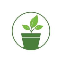 Blumentopf und Pflanzenlogo. Wachstum-Vektor-Logo. vektor