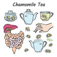 Kamille Tee Farbe traditionell Medizin Gesundheit Vektor einstellen