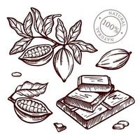 kakao gren design i skiss stil vektor illustration uppsättning