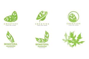 monstera adansonii-blattlogo, grünpflanzenvektor, baumvektor, seltene blattillustration vektor