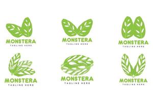 monstera adansonii-blattlogo, grünpflanzenvektor, baumvektor, seltene blattillustration vektor