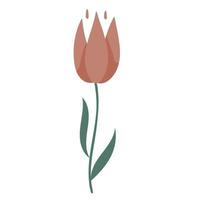 Vektor Gekritzel Illustration von rot Tulpe Blume.