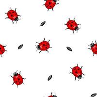 Nyckelpigor vår sömlös vektor mönster. röd skalbaggar med löv