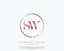 första brev sw feminin logotyp skönhet monogram och elegant logotyp design, handstil logotyp av första signatur, bröllop, mode, blommig och botanisk med kreativ mall vektor