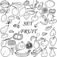 mat uppsättning av frukt och bär. vektor illustration av en uppsättning av frukt och bär.