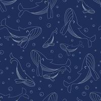 Nahtloses Muster mit Blauwalen-Vektorillustration vektor