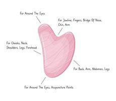 infographic av gua sha skrapning massage verktyg användande. ansiktsbehandling massage. naturlig rosa reste sig kvarts sten skrapa. kinesisk traditionell ansiktsbehandling lyft för kvinnor. vektor platt illustration. ansiktsbehandling akupunkter.