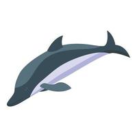 Meer Delfin Symbol isometrisch Vektor. Fisch Leben vektor