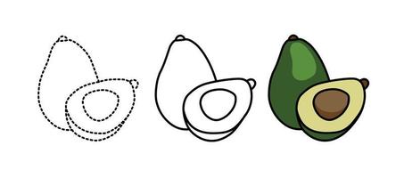 avokado frukt färg sidor vektor