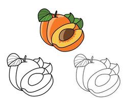 vegetabiliska och aprikos färg sidor för barn vektor