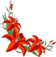 Lilie Rand Blume Blumen- Clip Art vektor