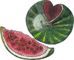 vektor illustration mogen vattenmelon med skära skiva isolerat