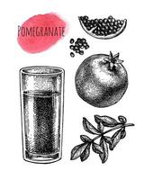 Granatapfel Saft im Glas. Früchte, Saat und Ast. Tinte skizzieren isoliert auf Weiß Hintergrund. Hand gezeichnet Vektor Illustration. retro Stil.