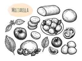Mozzarella Käse mit Tomaten und Basilikum. groß Satz. Tinte Skizzen isoliert auf Weiß Hintergrund. Hand gezeichnet Vektor Illustration. Jahrgang Stil Schlaganfall Zeichnung.