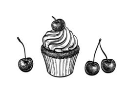 Cupcake mit Kirsche. Tinte skizzieren isoliert auf Weiß Hintergrund. Hand gezeichnet Vektor Illustration. retro Stil.