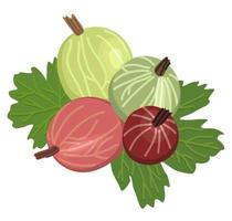 vektor isolerat illustration av krusbär med löv.