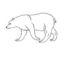 Vektor Hand gezeichnet Gekritzel skizzieren Gliederung Bär